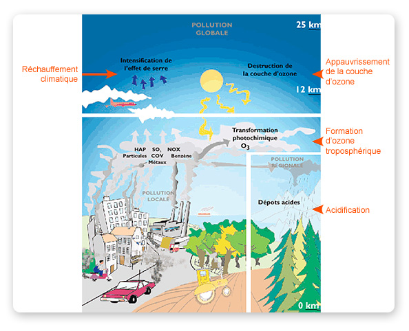 Quels sont les impacts environnementaux