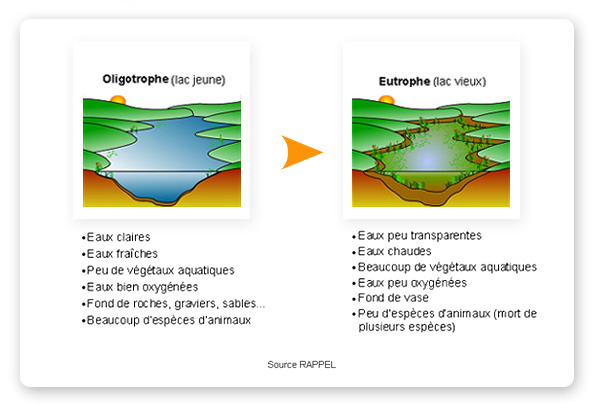 Quels sont les impacts environnementaux