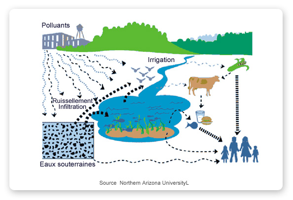 Quels sont les impacts environnementaux