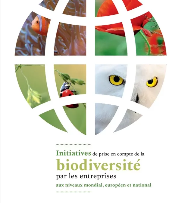 Initiatives de prise en compte de la biodiversité aux niveaux mondial, européen et national