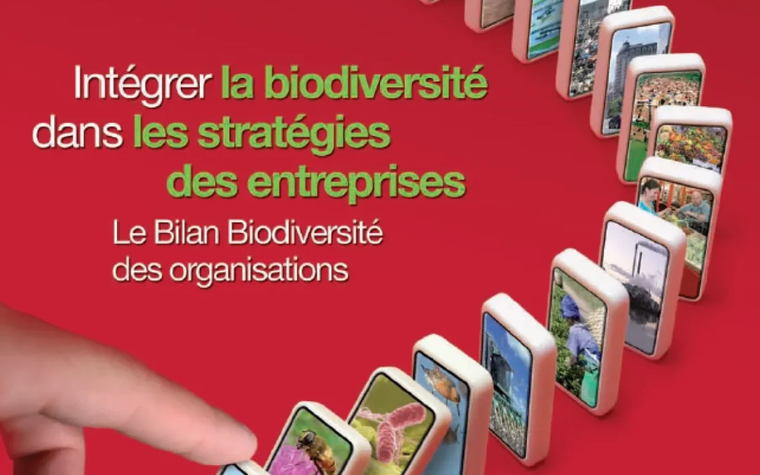 Intégrer la biodiversité dans les stratégies d’entreprises