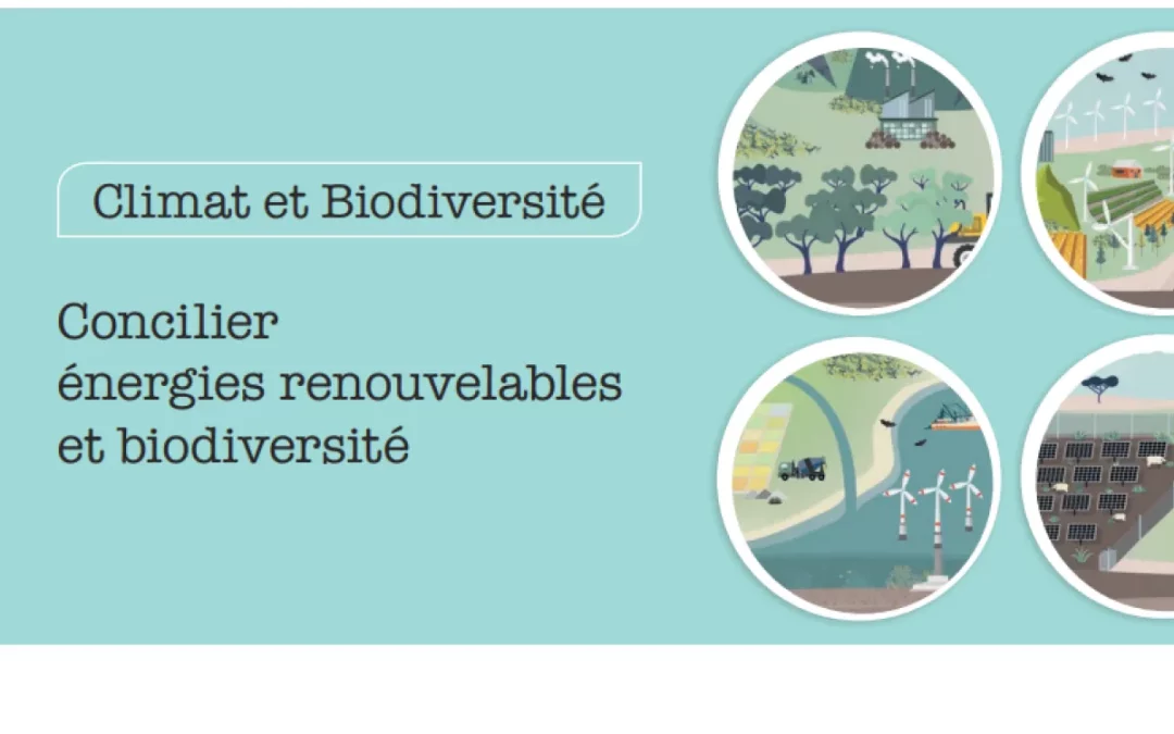Concilier énergies renouvelables et biodiversité
