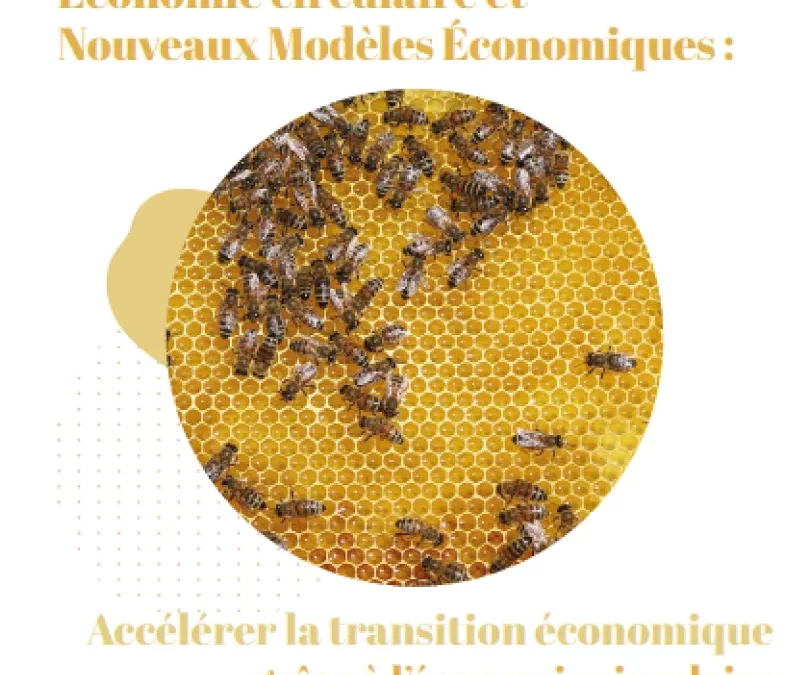 Livret 3 Création de valeur : Économie circulaire et Nouveaux Modèles Économiques (NME)
