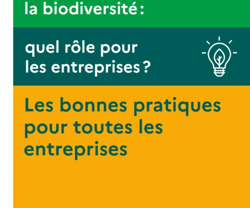 Recueil bonnes pratiques pour toutes les entreprises