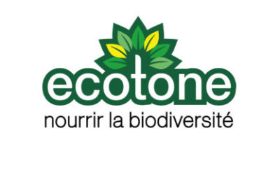 Ecotone