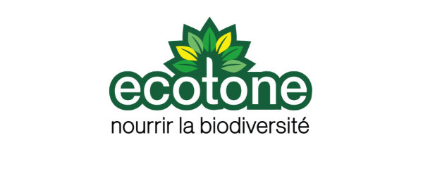 ecotone