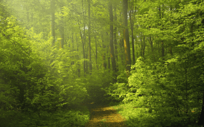 18 février – IPBES : un webinaire sur biodiversité et activités économiques