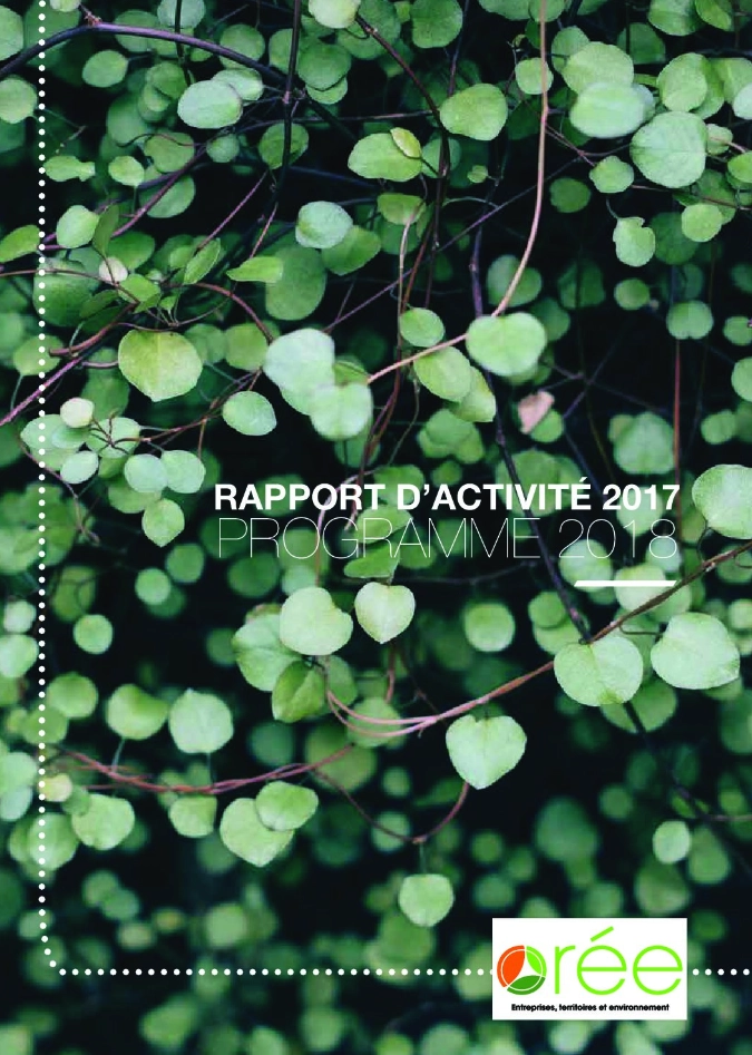 Rapport d'activité 2017 - Programme 2018