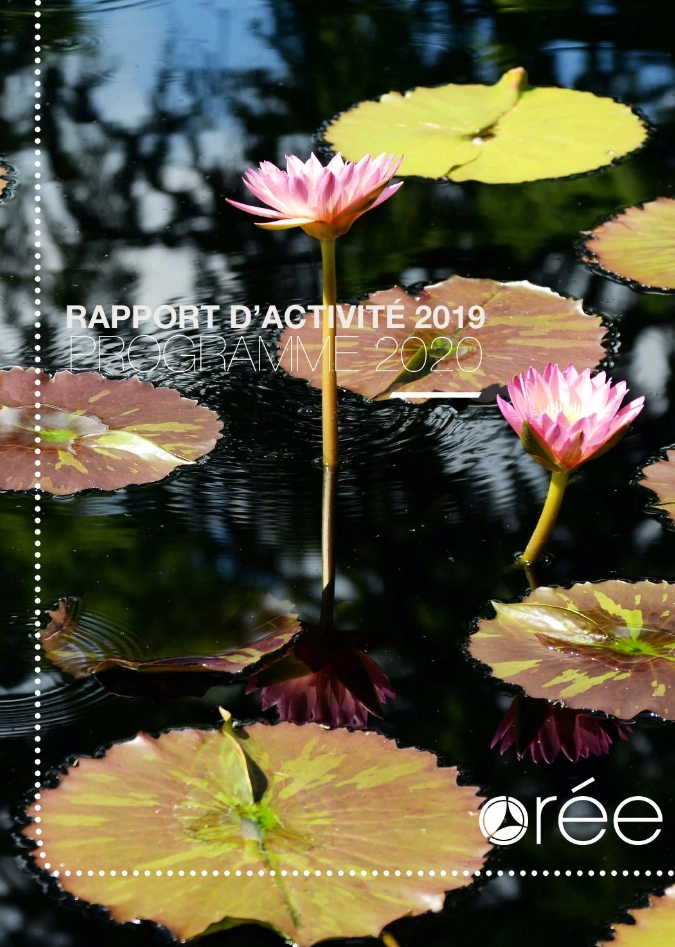 Rapport d'activité 2019 - Programme 2020