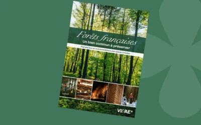 Vivae – un nouveau manuel pour se saisir des enjeux sur les forêts françaises métropolitaines