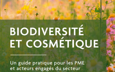 La FEBEA publie un guide opérationnel pour les PME du secteur cosmétique