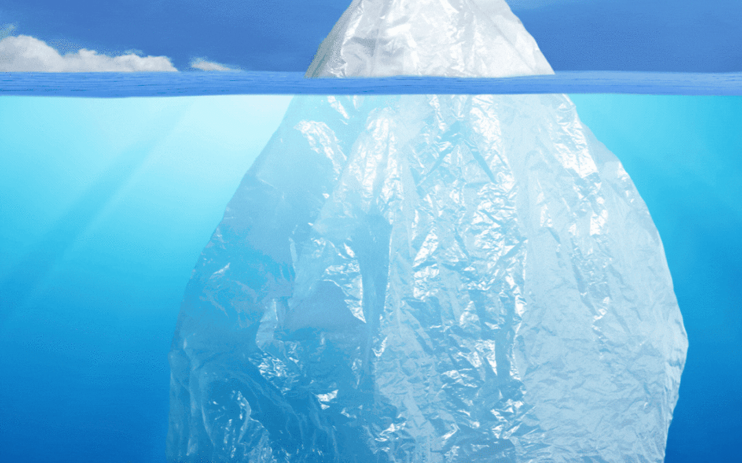 Pollution plastique : un cycle de conférences pour éclairer l’action