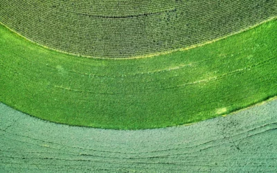 CDC Biodiversité et I Care by BearingPoint – 20 mai – Evènement “Biodiversity Framework for Agricultural Transition”