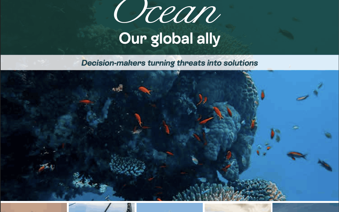 Vivae – Publication du manuel « Ocean » : intégrer les enjeux océaniques aux stratégies économiques